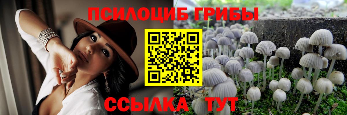 Галлюциногенные грибы прущие грибы  Псилоцибиновые грибы мухоморы  Клинцы  Вход с VPN 
